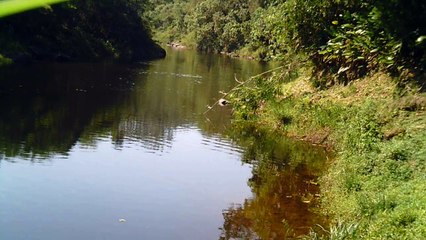 Busca da nascente do Rio Paraíba do Sul, Rio PAraibuna, Cachoeiras e mergulhos contemplativos da Natureza, 2015