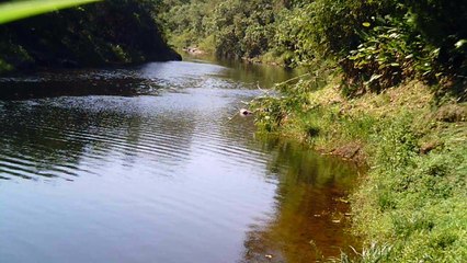 Busca da nascente do Rio Paraíba do Sul, Rio PAraibuna, Cachoeiras e mergulhos contemplativos da Natureza, 2015