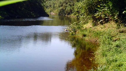 Busca da nascente do Rio Paraíba do Sul, Rio PAraibuna, Cachoeiras e mergulhos contemplativos da Natureza, 2015