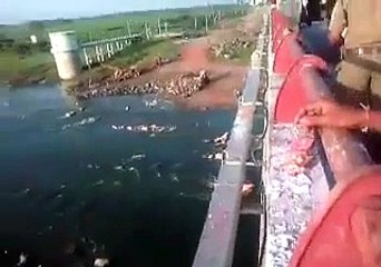 Explore the Fun and Unique Indian Bhagwan & Idols Collection! 🙏