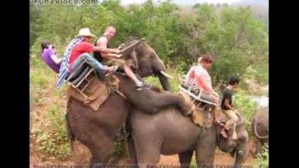 funny moments of  life