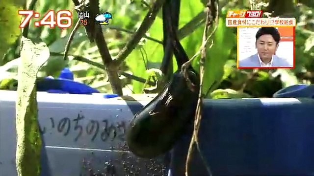 PASSPO☆ 根岸愛 チャージ730 20150916