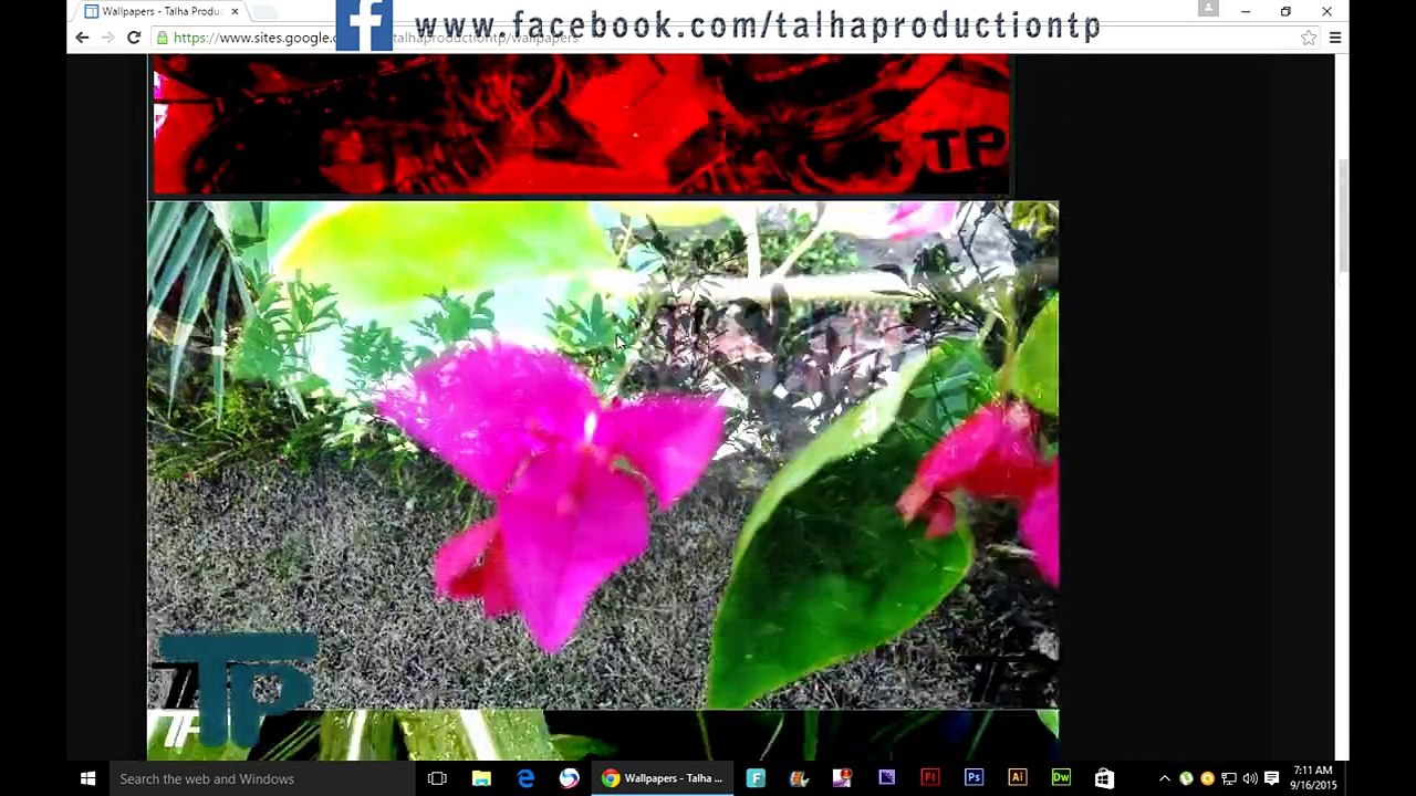 My Website