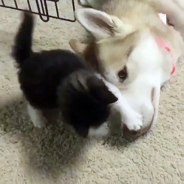 Best friends
