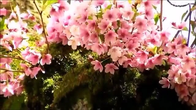 Fatma ASLANOĞLU Açmam Açamam Söyleyemem Çünkü Derinde