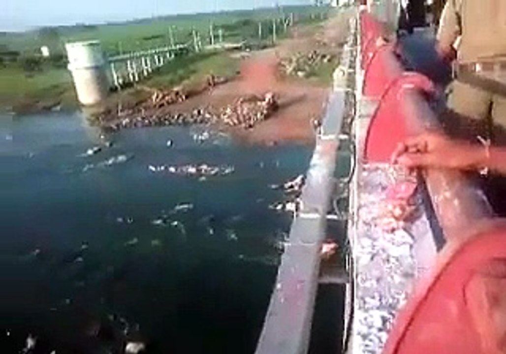 This is how Indian Hindus treat their Gods after festivals | Exclusive Footage | Rare | Unseen