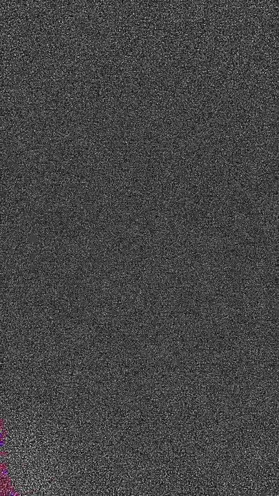 Warnung vor dubiosen Tierschutzvereinen.