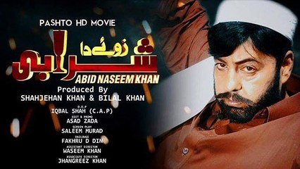 Pashto Film Zwee Da Sharabi Hits 8