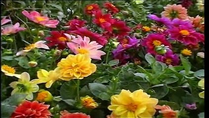 Dekho Dekho Mere Yasu Singer Ameen Boby 03005292388