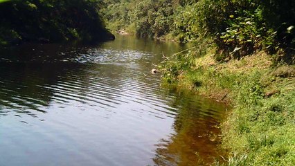 Natureza Selvagem, mergulhando nos Rios da Serra do Mar,  Nascente do Paraíba do Sul, SP, Brasil