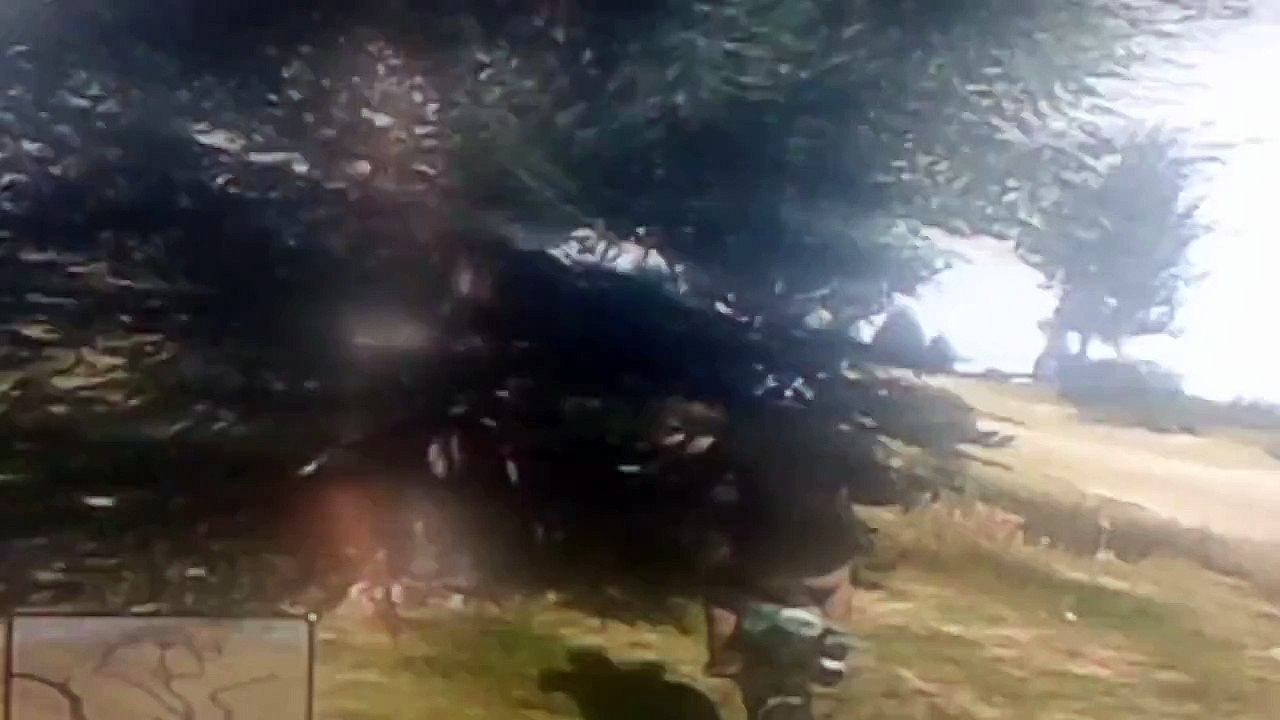 Saut dans les montagnes en moto sur gta 5