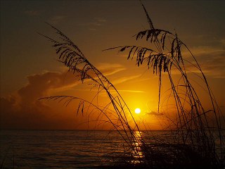 Wilson Kentura & Tiuze Money - Free Mind (Original Mix)