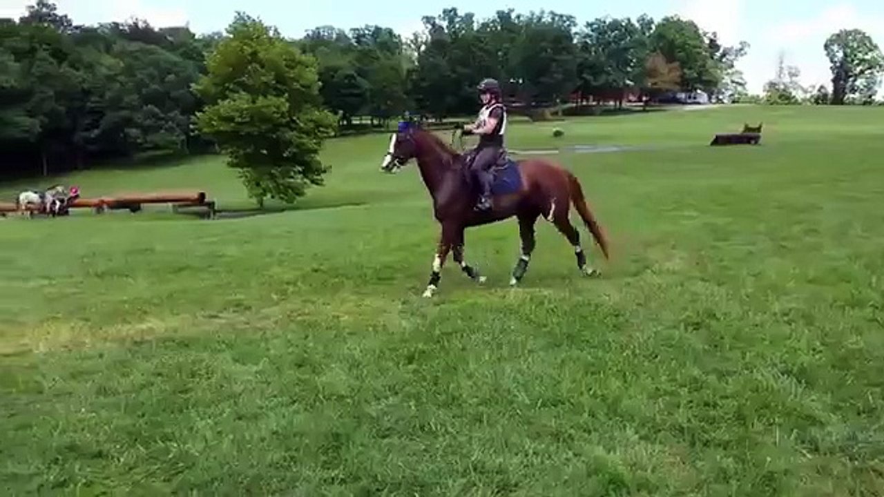 All'inizio Il Cavallo Non Riesce A Superare Il Fossato, Ma Quando Trova Il Coraggio... Wow!