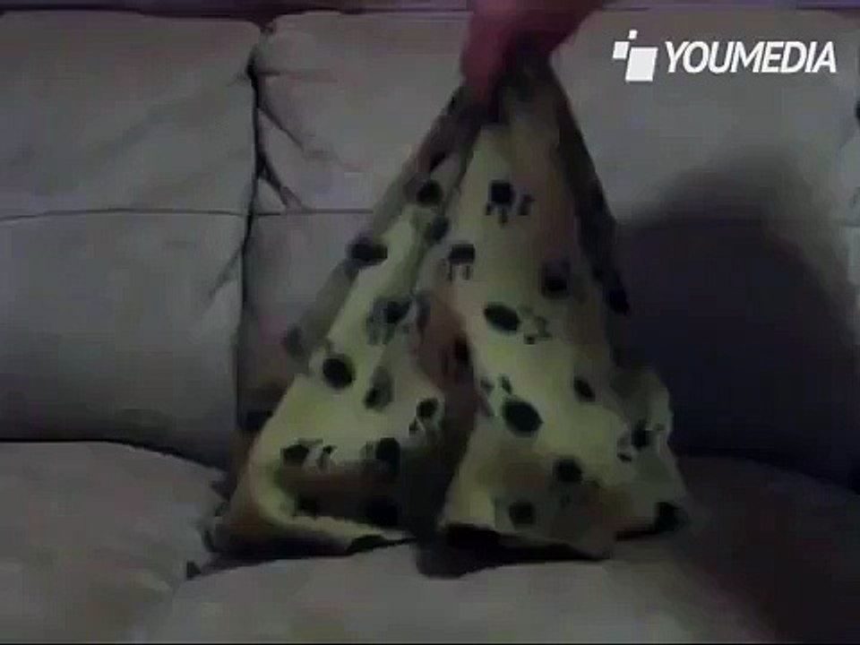 Copre il suo cane con un panno e quando lo tira su guardate che succede