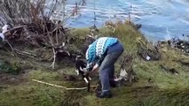 Degli angeli salvano un cucciolo intrappolato nel fiume