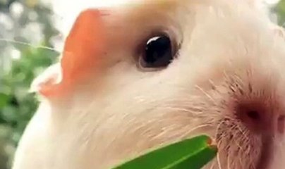 Look at those Cheeks!