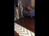 Dog Falls off Ottoman | Cute Dogs Fail