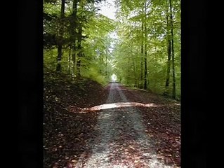 كانت حبيبك مخلصه....فرقه النهار و محمد نوح