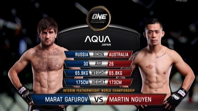 Марат Гафуров vs. Мартин Нгуен