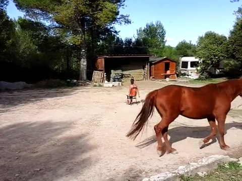 Challenge 2 - Steph et Lali : Jeu du cercle, 3 tours au trot en utilisant le stick une fois maximum