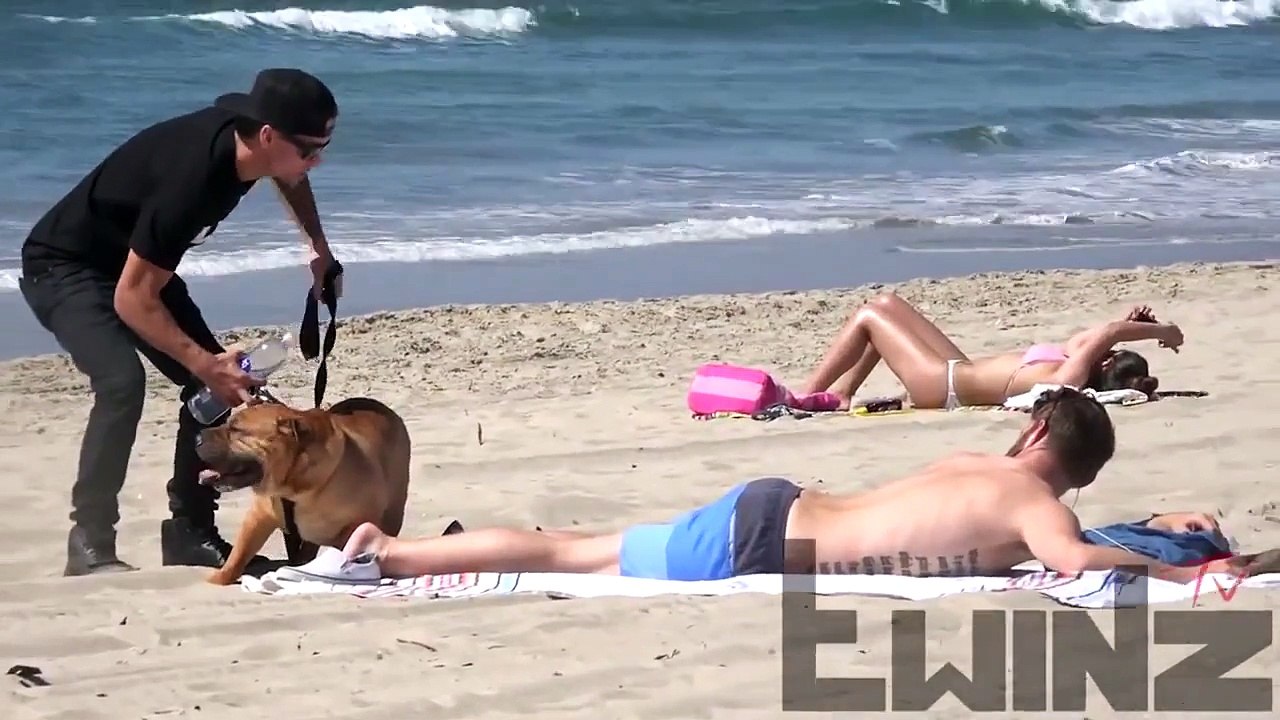 Dog Peeing on CUTE Girls Prank (Social Experiment) ♦ Pranks Gone Wrong ♦ Funny Videos