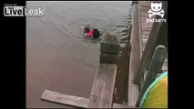 Dog rescues boy from lake.