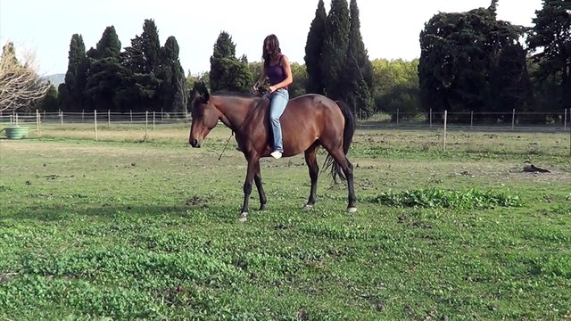 Introduction 2ème mois de formation