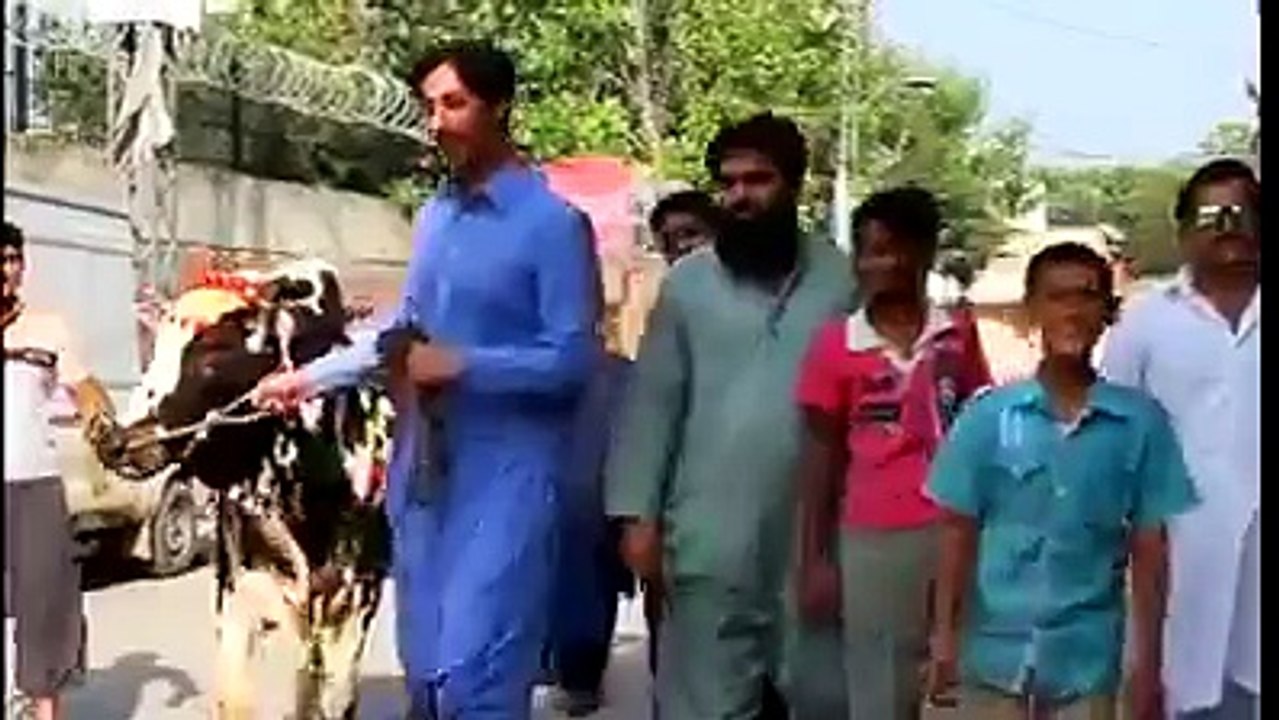 808010945979151.mp4