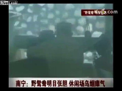 LiveLeak.com - Unemployed women offer old men hand or head jobs in park