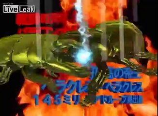 Final Match: Stag-Beetle VS Hercules-Beetle (Champion-Fight)