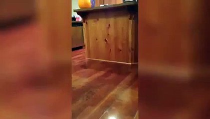 Hamile Olan Annesini Taklit Eden Bebek