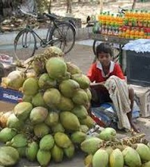 Bangladeshi Street Food _ Coconut Water !!!