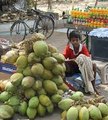 Bangladeshi Street Food _ Coconut Water !!!