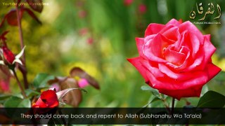 Renew your connection with Allah by Nayef Al Sahfi & Mansur Al Salimi
