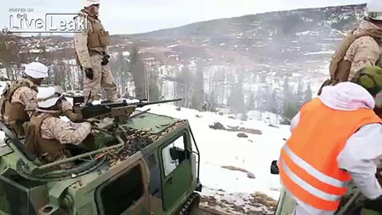 Cold Response 2014, NATO exercise