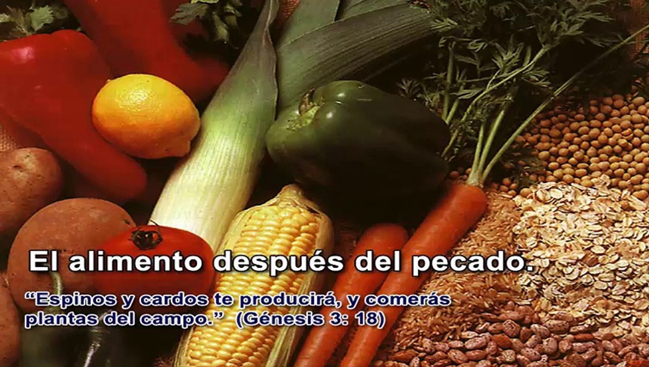 Como llevar una vida Cristiana Saludable en los Alimentos