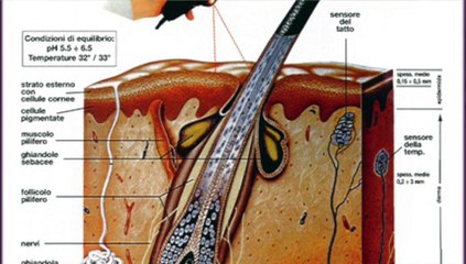 Dott.ssa Rita Viscovo: come risolvere la caduta dei capelli
