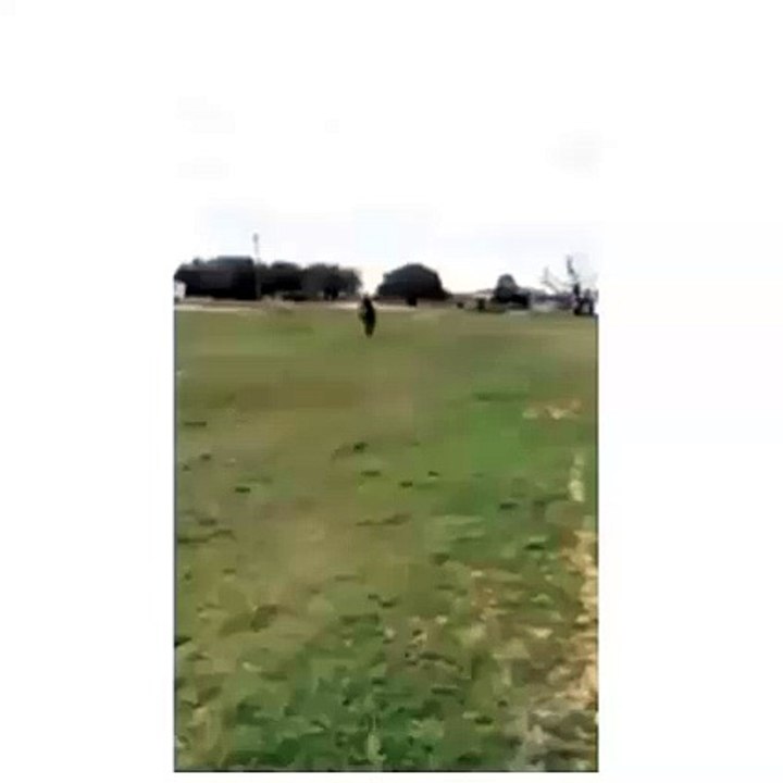 Funny clips kk 25