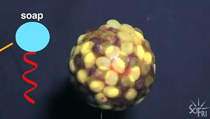 Wonder what candy corn is like in space-copypasteads.com