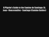 A Pilgrim's Guide to the Camino de Santiago: St. Jean • Roncesvalles • Santiago (Camino Guides)