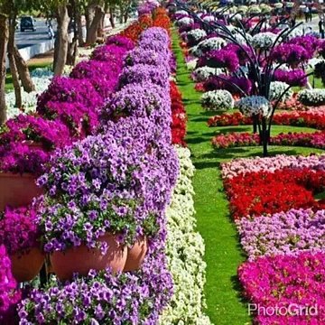 VID-20150927-WA0000.mp4