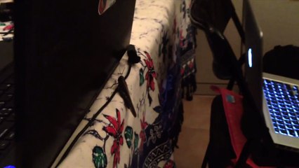 COME AFFRONTARE LE PROPRIE PAURE