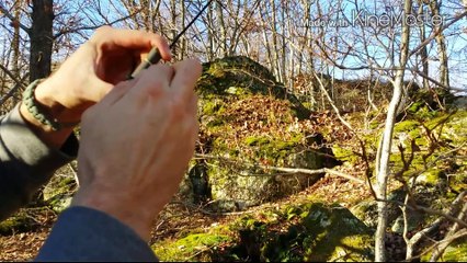 quelques pièges / few traps