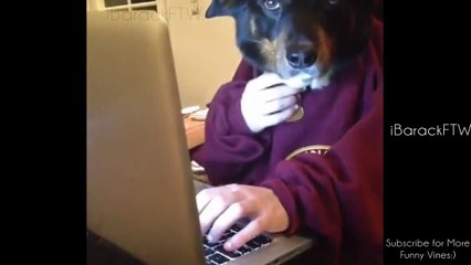 Des Vidéos drôles De Gens Tomber - MultiFunny42 HD