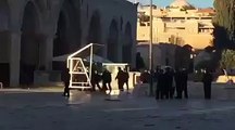 قوات الاحتلال تقتحم المسجد الاقصي برافعه
