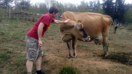 one of my wishes came true- i hugged cows!
