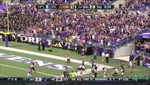 Steve Smith with a Beast Catch-and-Run 50-Yard TD _ Bengals vs. Ravens _ NFL