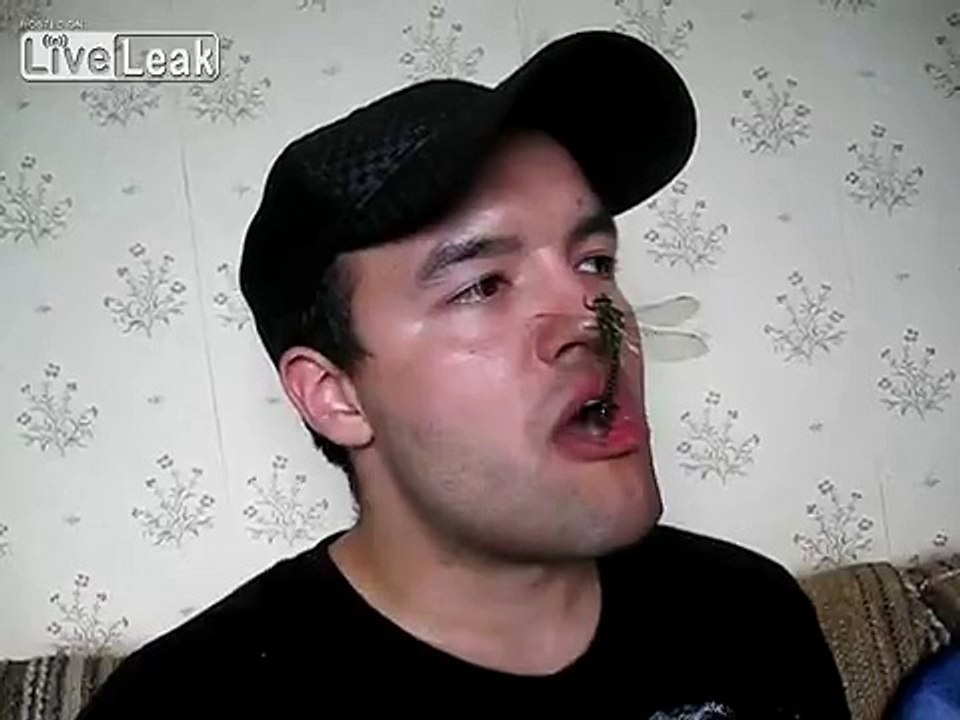 Uncle eats niece's pet dragonfly