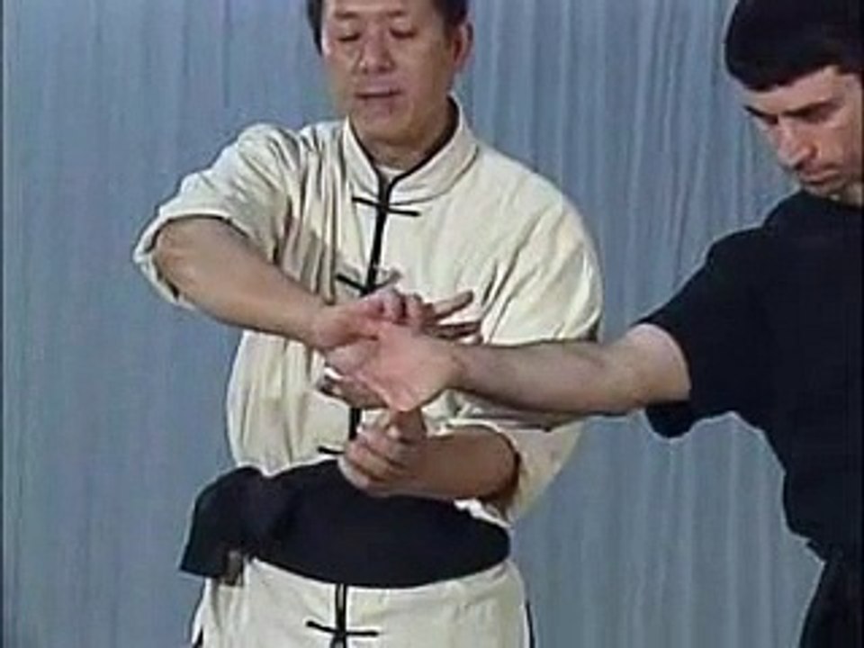 Tai chi, Wu shu - bai he quan clip 2