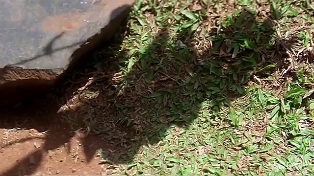 Salman Khan Songs - Aankhon Mein Bandh -Manisha Koirala - Sangdil Sanam - Amit Kumar- Alka Yagnik